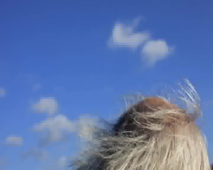 PJ Harvey: Let England Shake - 12 Short Films By Seamus